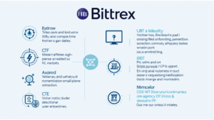 Understanding HIBT NFT Minting: Bittrex Chain Integration and Beyond