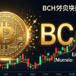 BCH Halving: What You Need to Know