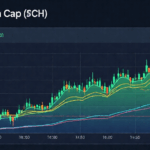 BCH Usage Statistics: Unveiling Key Insights